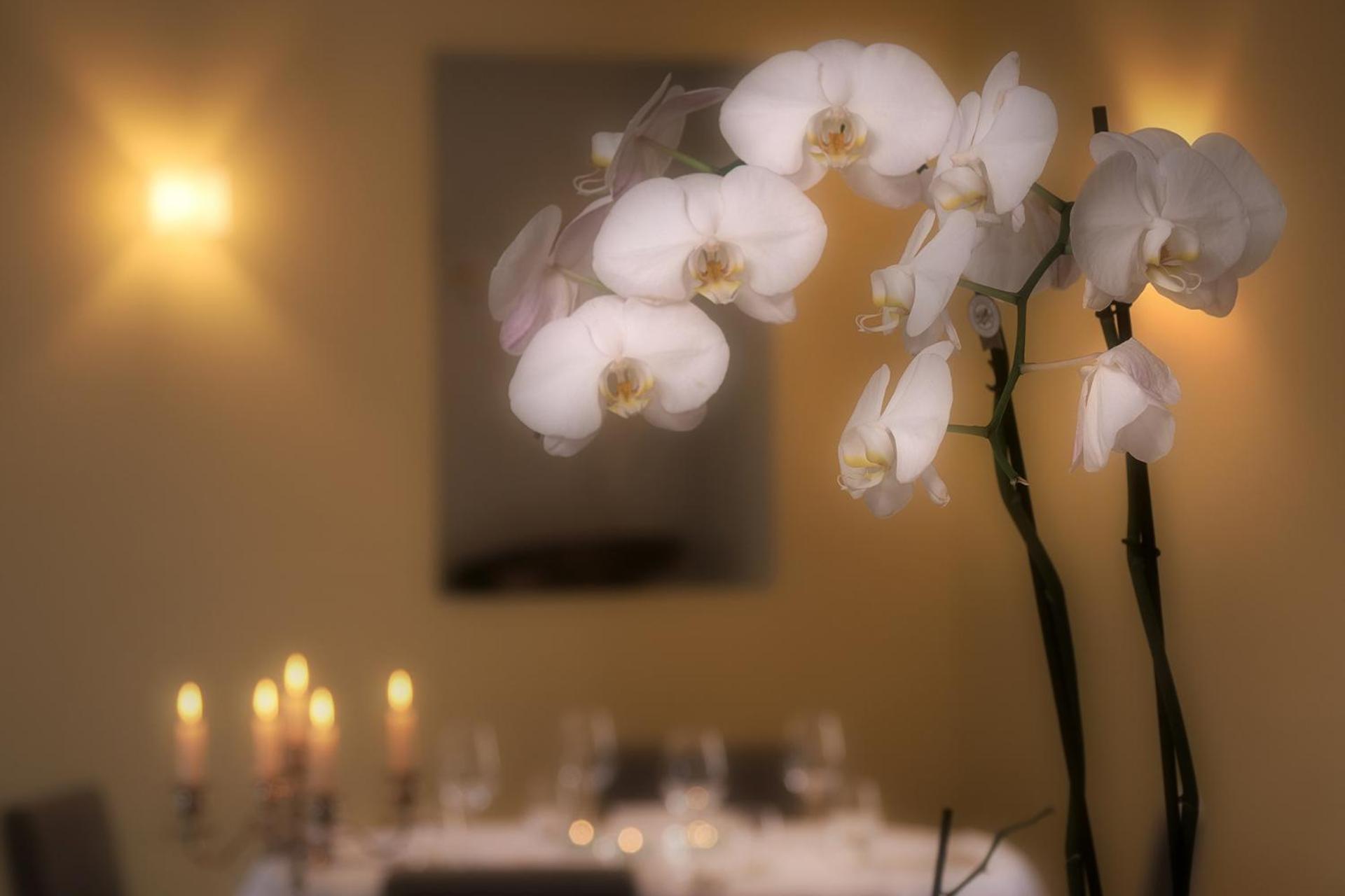 Ristorante Charme Hotel Tre Terre Ponte Brolla Εξωτερικό φωτογραφία