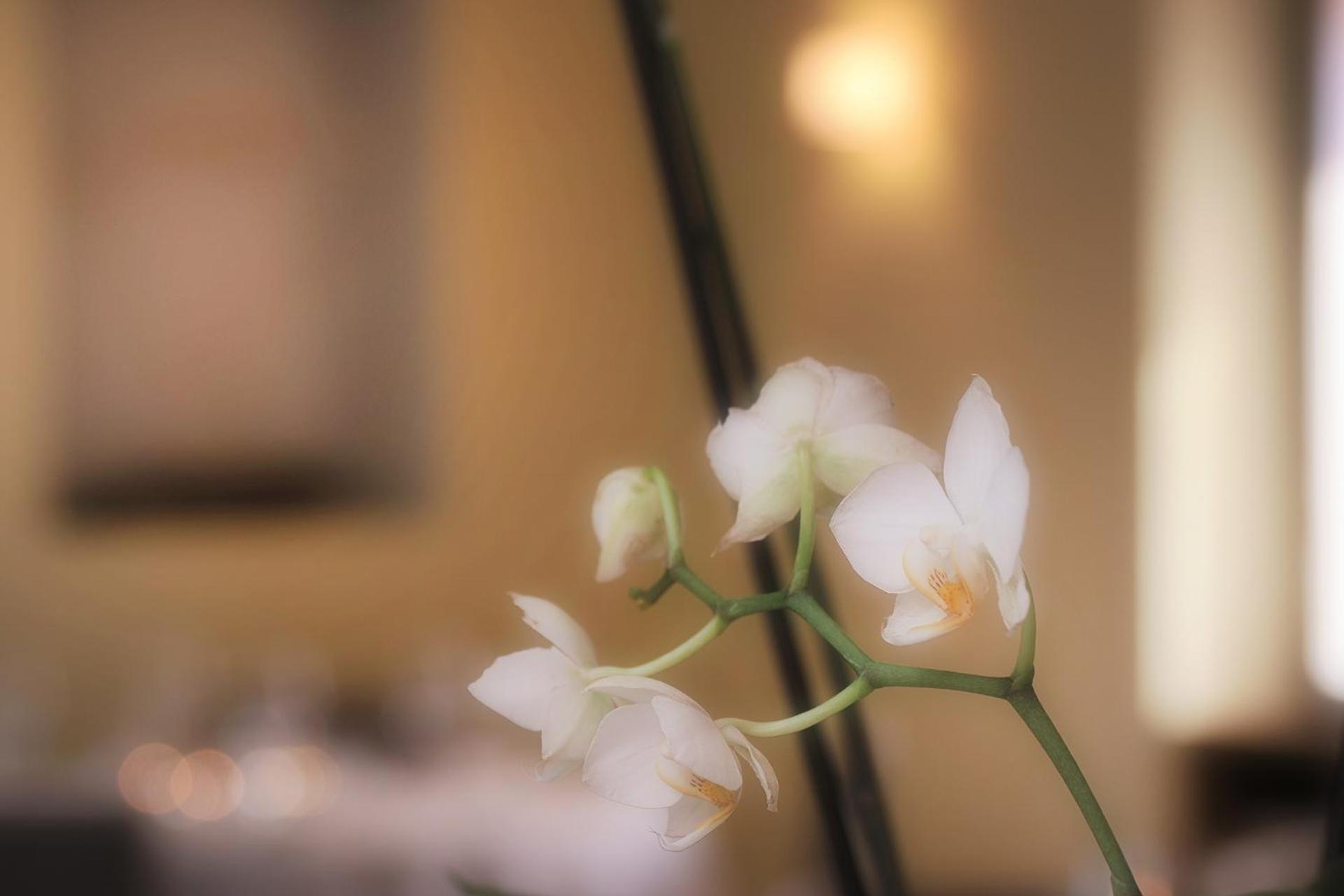 Ristorante Charme Hotel Tre Terre Ponte Brolla Εξωτερικό φωτογραφία